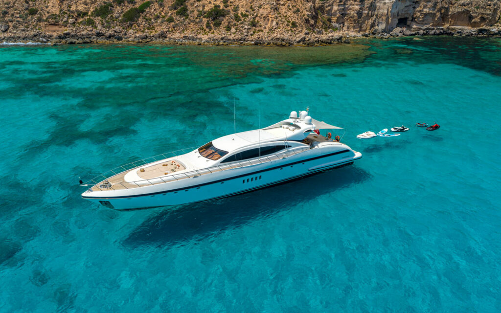 mangusta de arriba